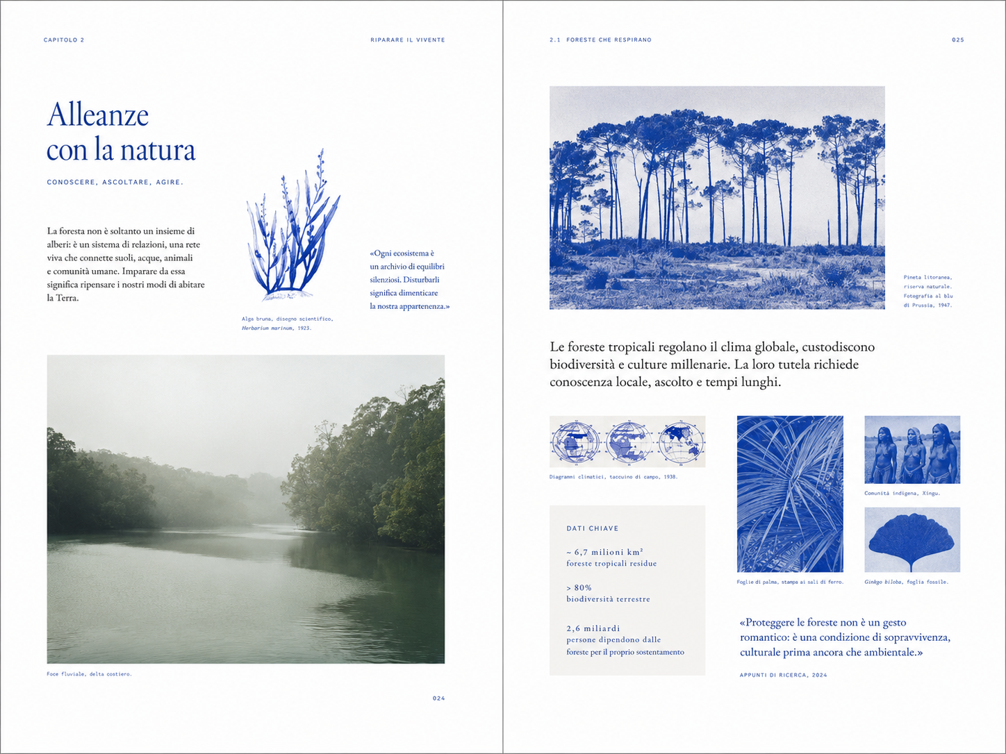 Doppia pagina editoriale su foreste e natura